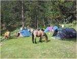 Campaments Vall de La Llosa 2012